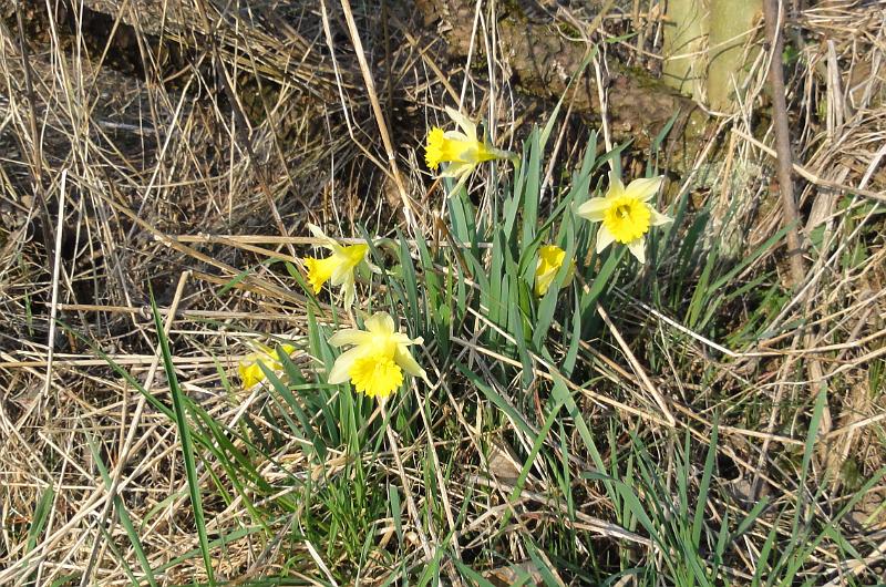 2012 03 24 A
